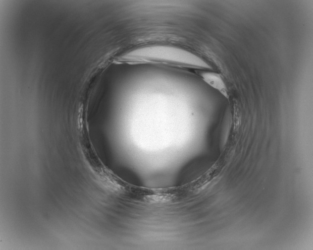 X0000074220356200609222013