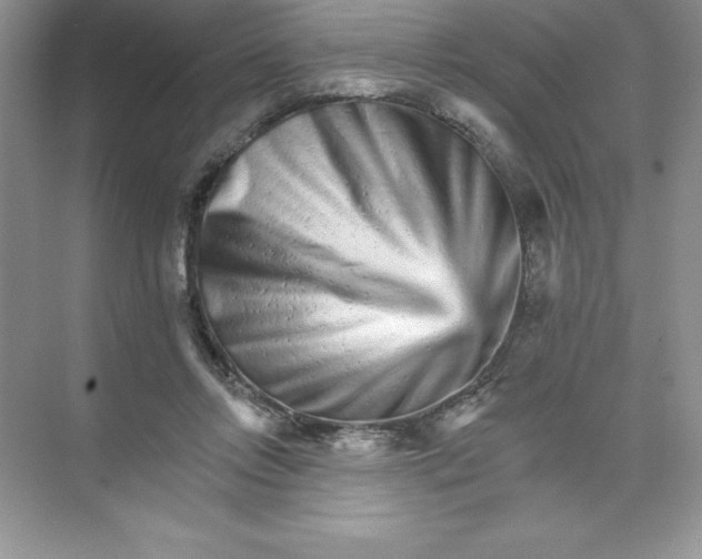 X0000074220358200609222013