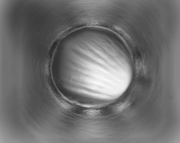 X0000074220359200609222013