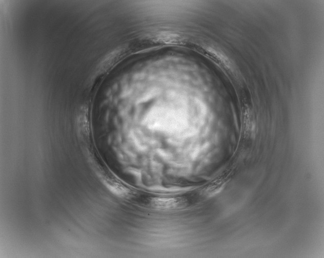 X0000074220361200609222013