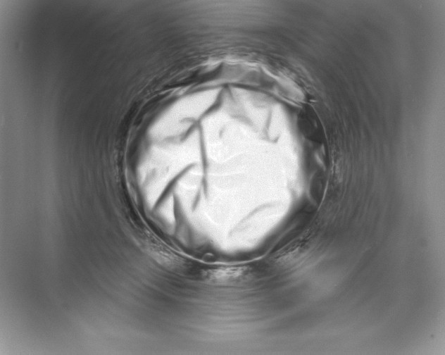 X0000074220366200609222013