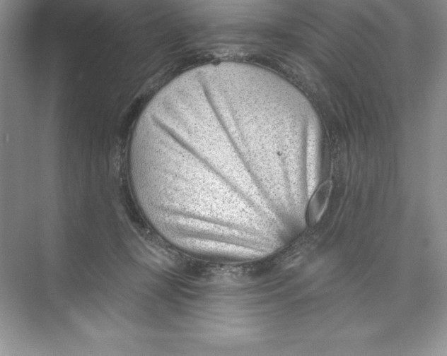 X0000074220367200609222013