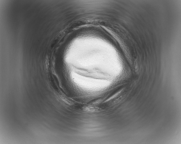 X0000074220372200609222013