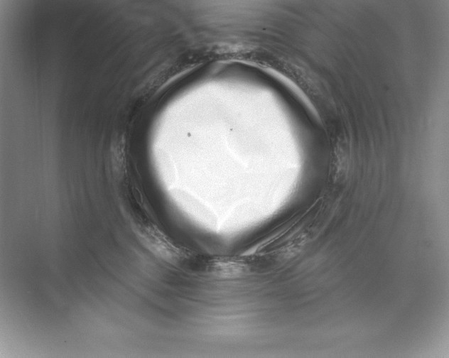 X0000074220376200609222013