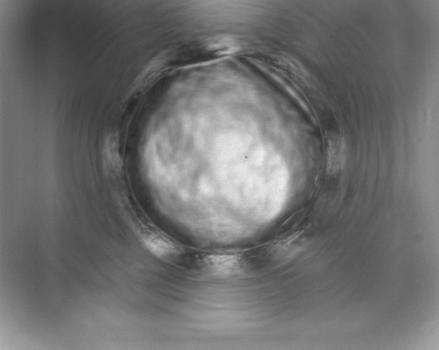 X0000074220377200609222013