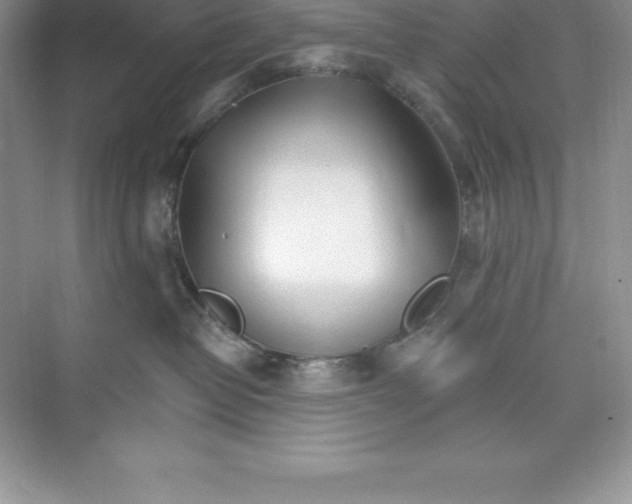 X0000074220382200609222014