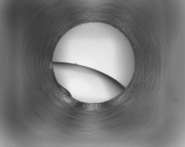 X0000074220384200609222014