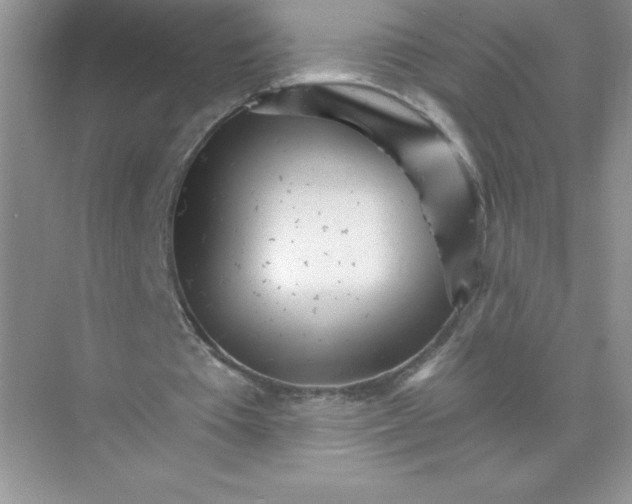 X0000074220385200609222013