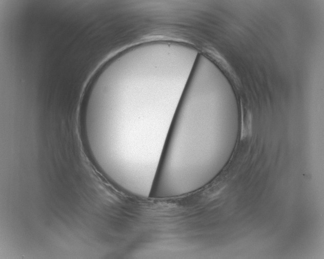 X0000074220387200609222013