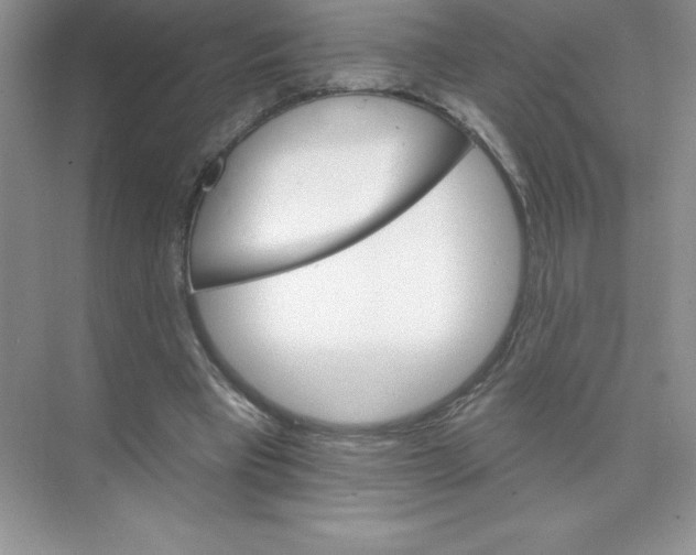 X0000074220393200609222013