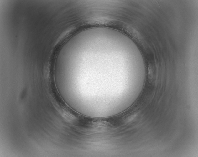 X0000074220396200609222013