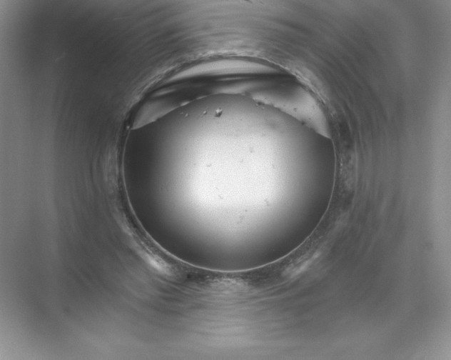 X0000074220397200609222013