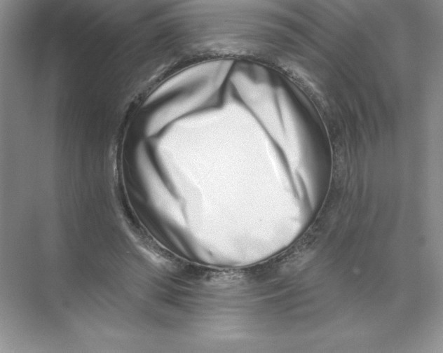 X0000074220398200609222013