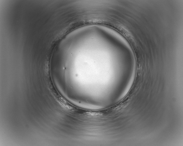 X0000074220401200609222012