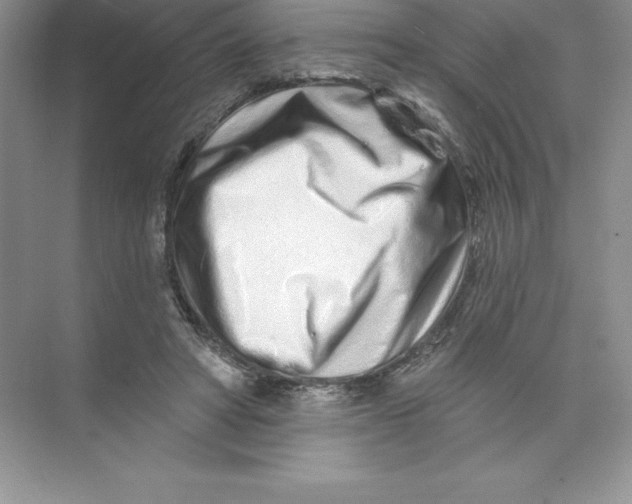 X0000074220402200609222012