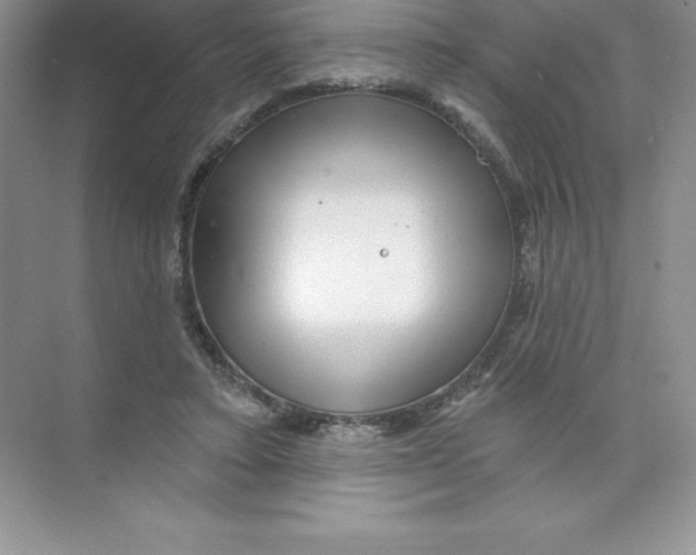 X0000074220403200609222012