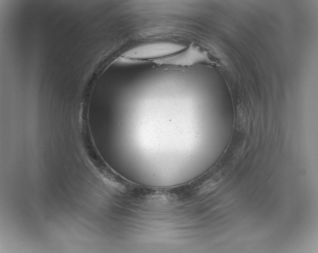 X0000074220404200609222012