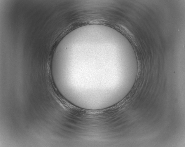X0000074220405200609222012