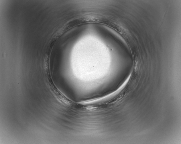 X0000074220413200609222012