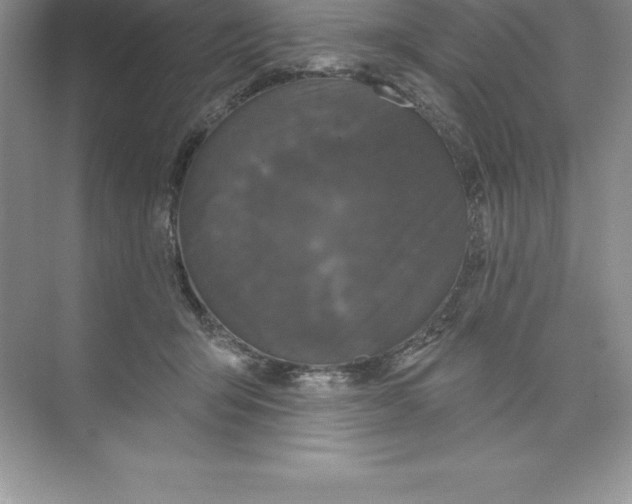 X0000074220415200609222012