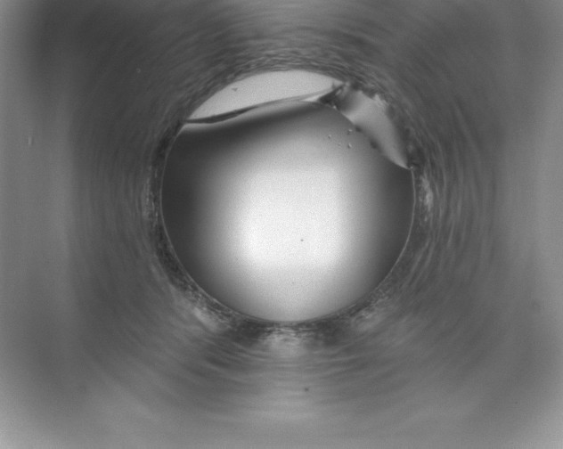 X0000074220416200609222012