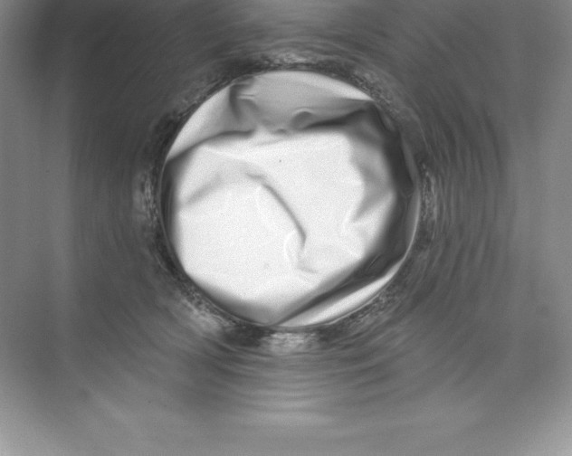 X0000074220418200609222012
