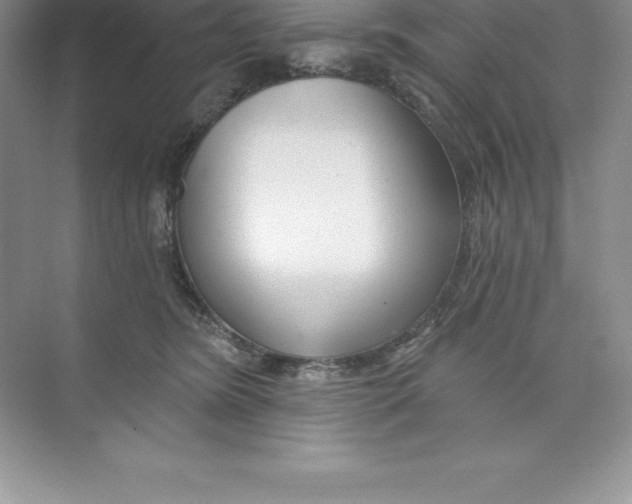 X0000074220420200609222012
