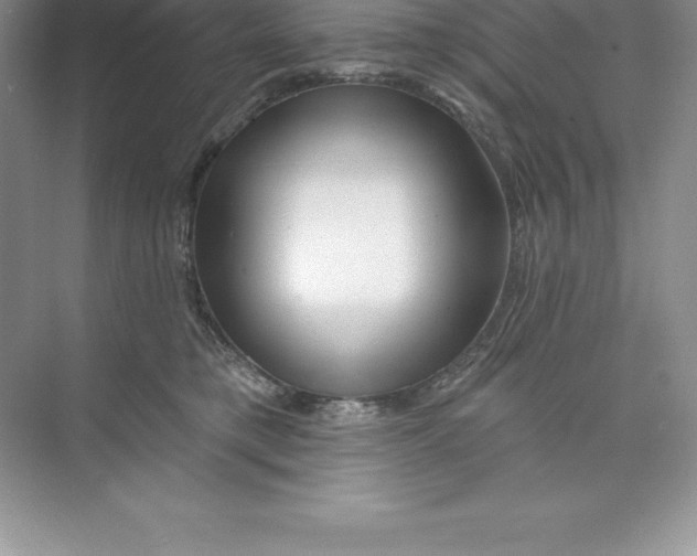 X0000074220421200609222012