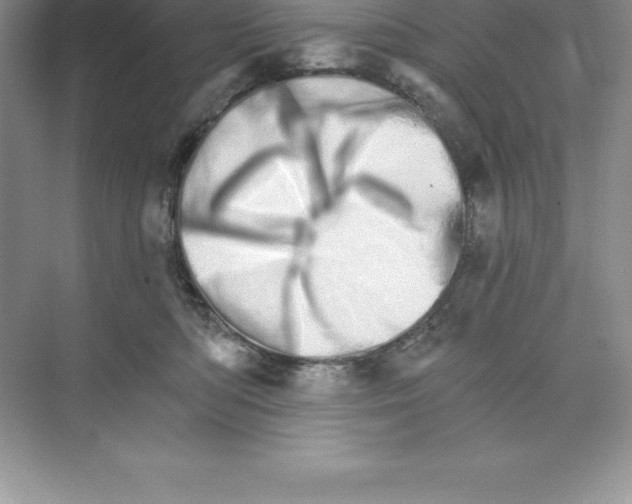 X0000074220422200609222012