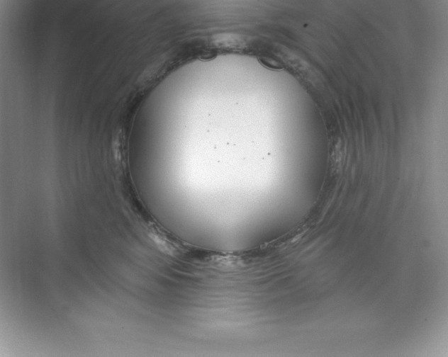 X0000074220424200609222012