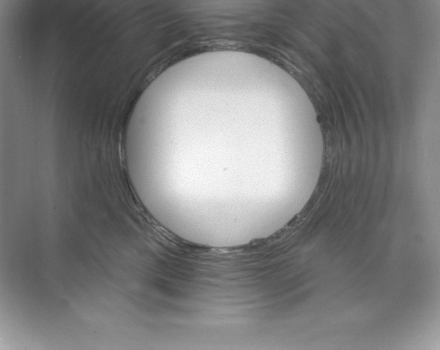 X0000074220425200609222012