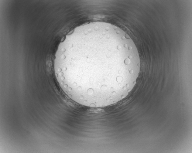 X0000074220427200609222012