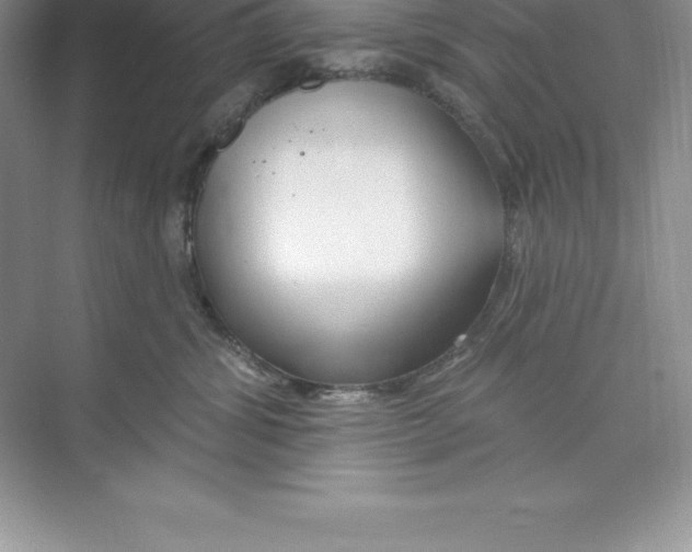 X0000074220428200609222012