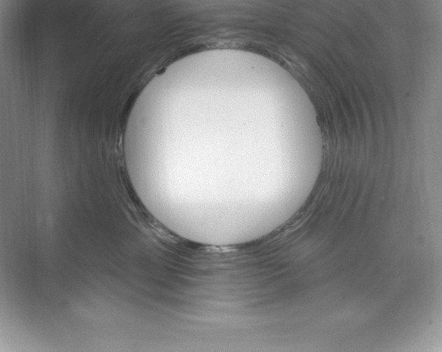 X0000074220429200609222012