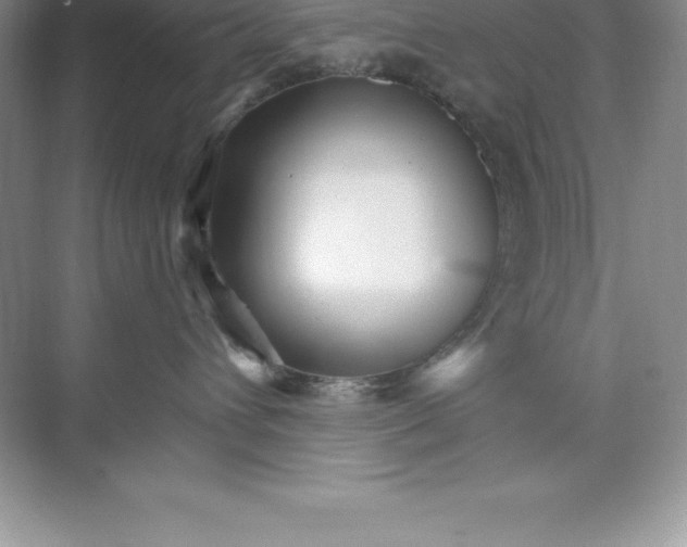 X0000074220432200609222012