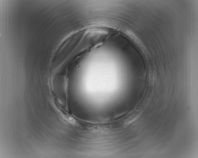X0000074220434200609222011