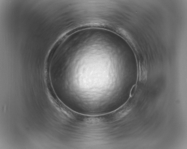 X0000074220435200609222011