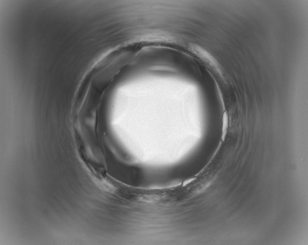X0000074220436200609222011