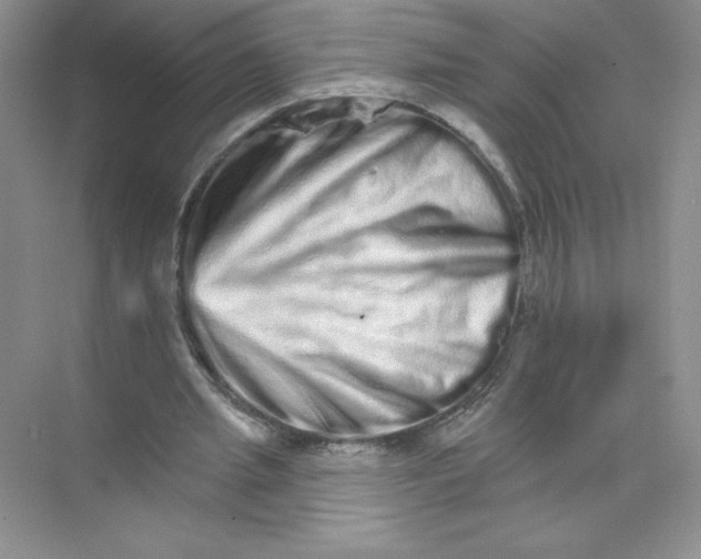 X0000074220437200609222011