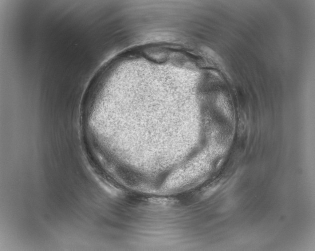 X0000074220439200609222011