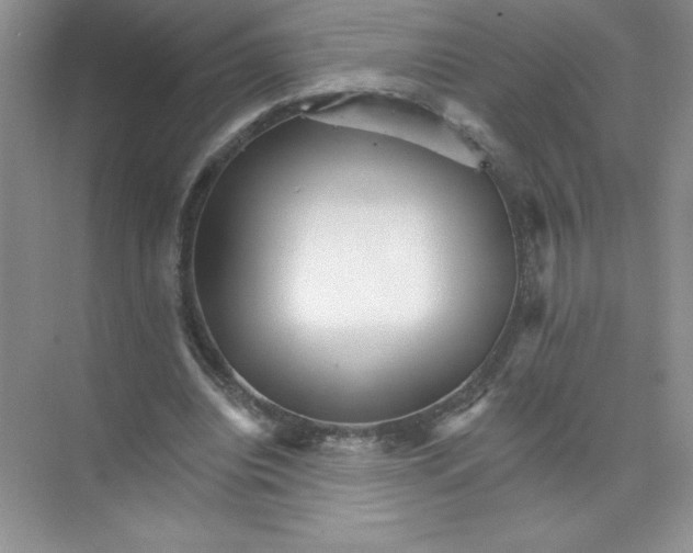 X0000074220440200609222011