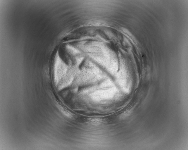 X0000074220441200609222011
