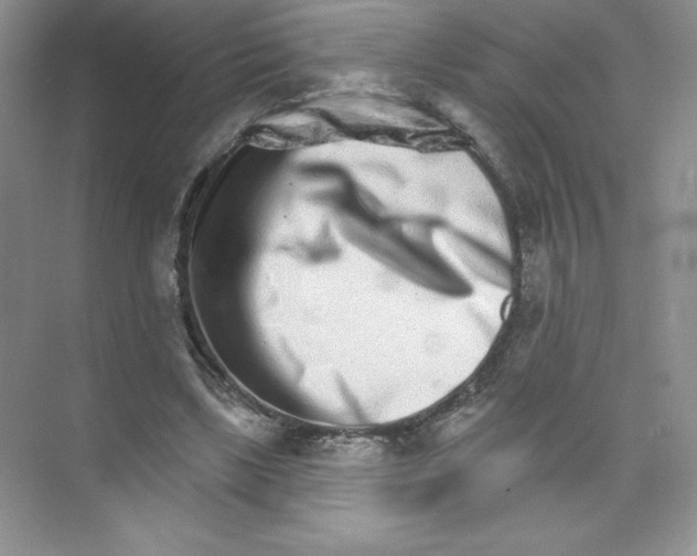X0000074220443200609222011