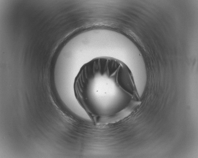 X0000074220444200609222011