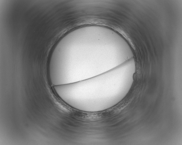 X0000074220445200609222011