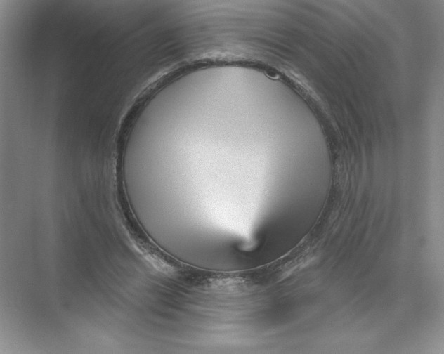 X0000074220446200609222011
