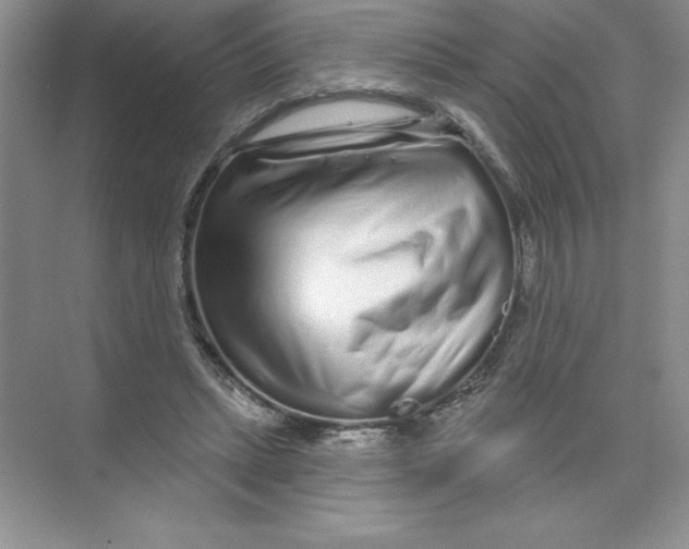 X0000074220447200609222011