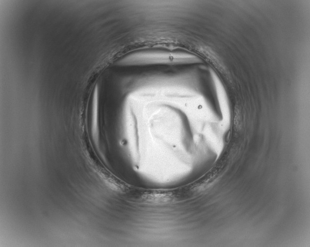 X0000074220449200609222011