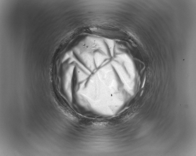 X0000074220450200609222011