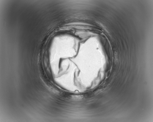 X0000074220451200609222011